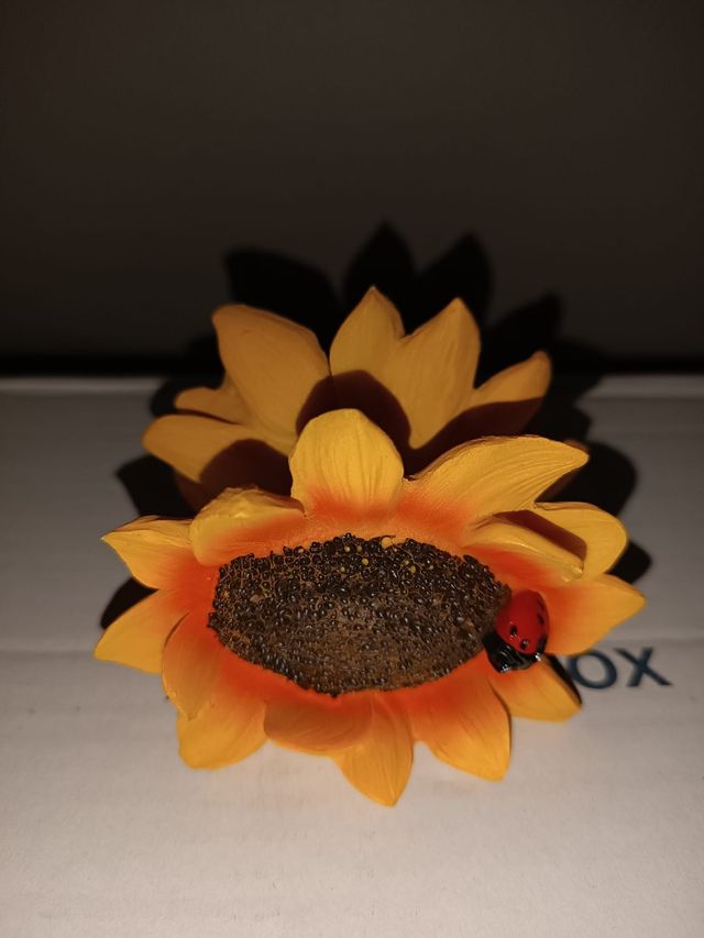 Vendesi termometro, sale e pepe, porta tovaglioli