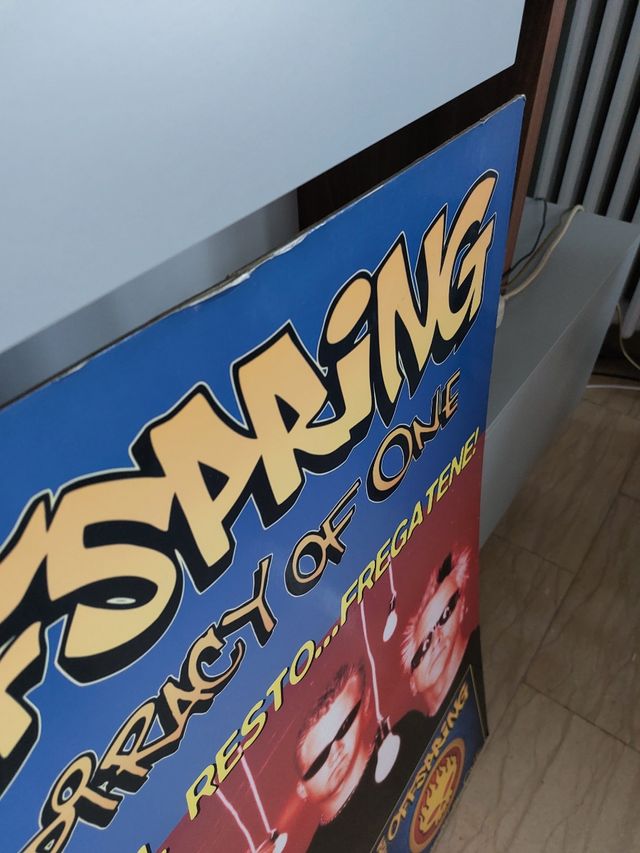 Locandina tour The Offspring