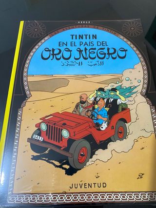 Lote de 6 libros de TINTÍN TAPA BLANDA PLASTIFICAD