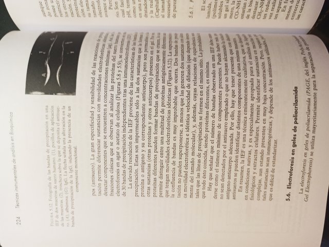 Técnicas instrumentales en técnicas de Bioquímica