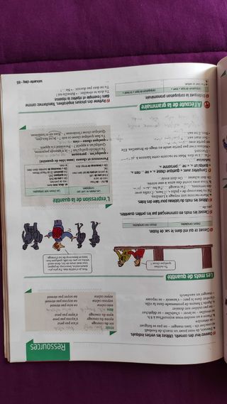 Écho. Francés A1. Segunda edición.