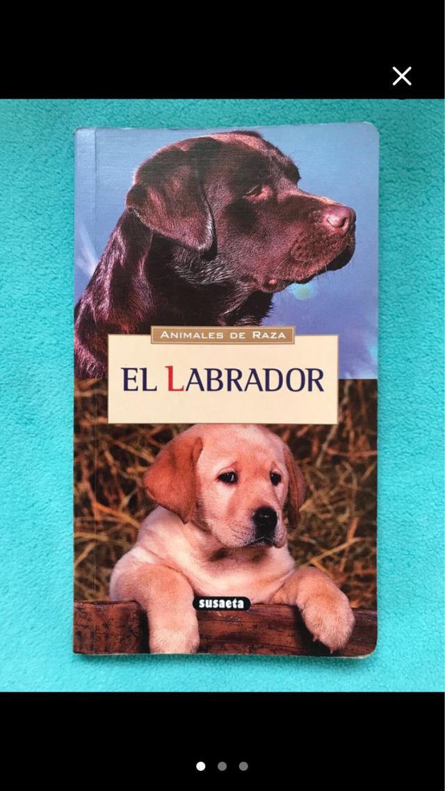 Libros varios