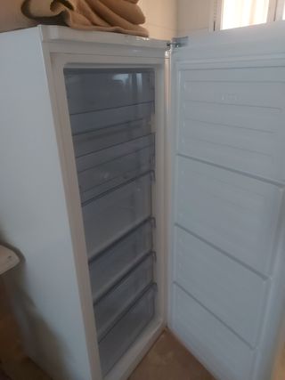 congelador
