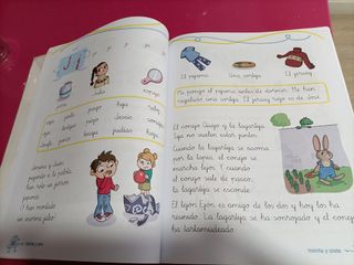 Leo Anaya 1 primaria. ISBN,978-84-678-4619-5