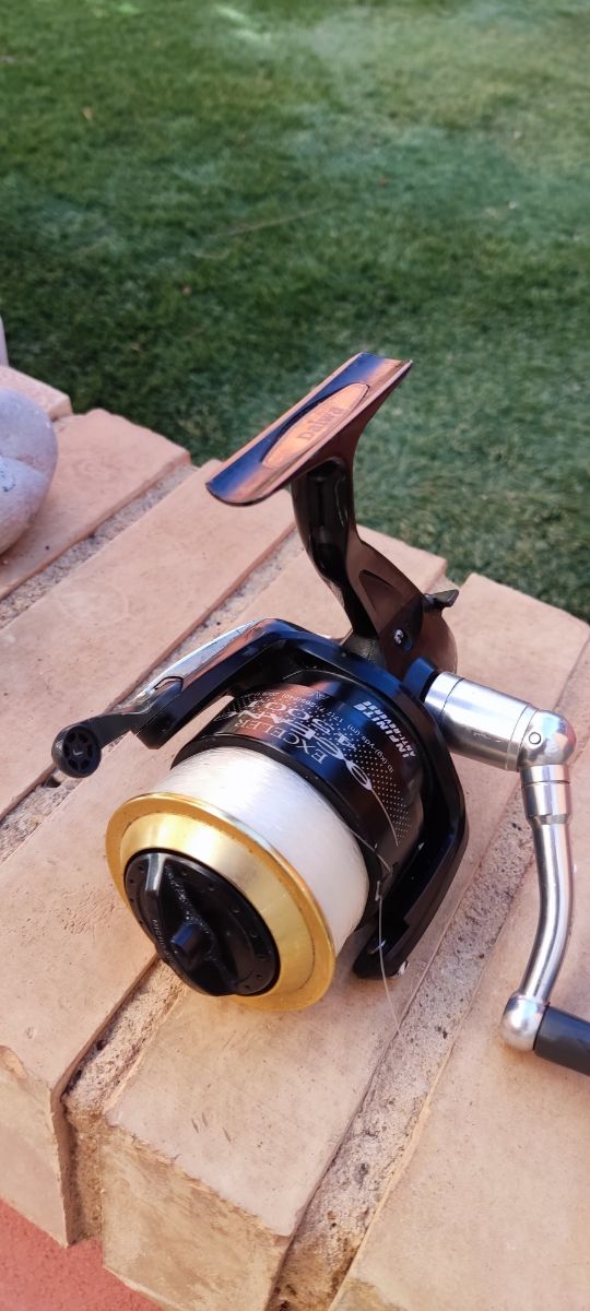 daiwa exceler oceano