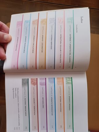 anatomía fisiologica