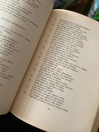 Libro de Xob o Eclesiastés a Cántiga das Cántigas