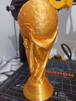 trofeo mundial messi