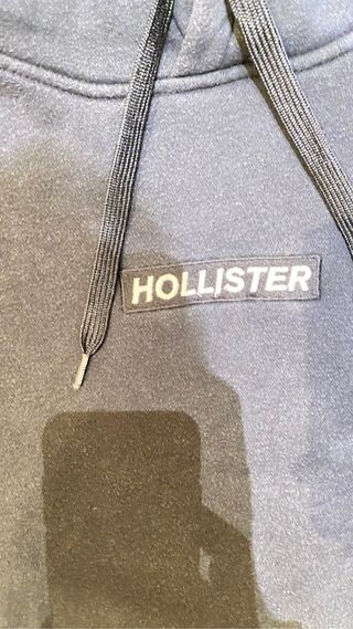 Sudadera Hollister
