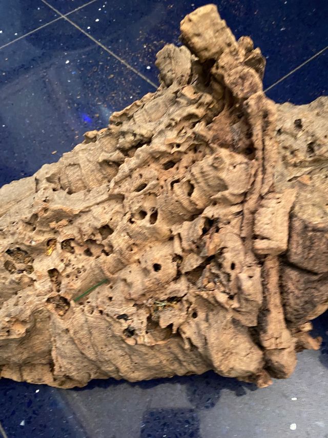 Sugherò per presepe 