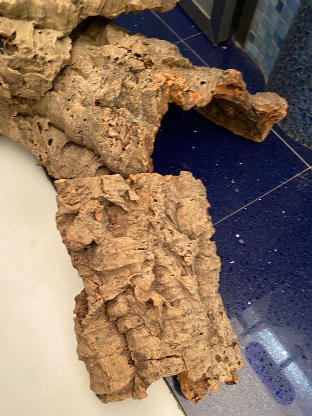 Sugherò per presepe 