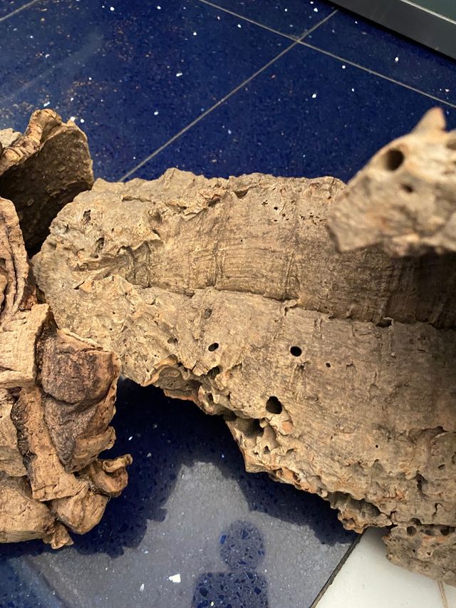 Sugherò per presepe 