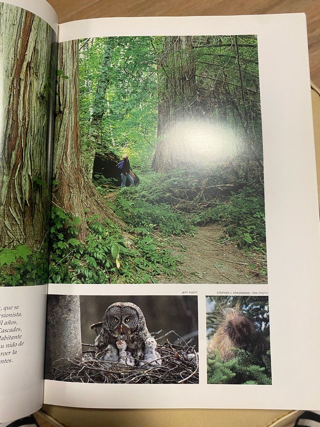 National Geographic Tesoros ocultos de America