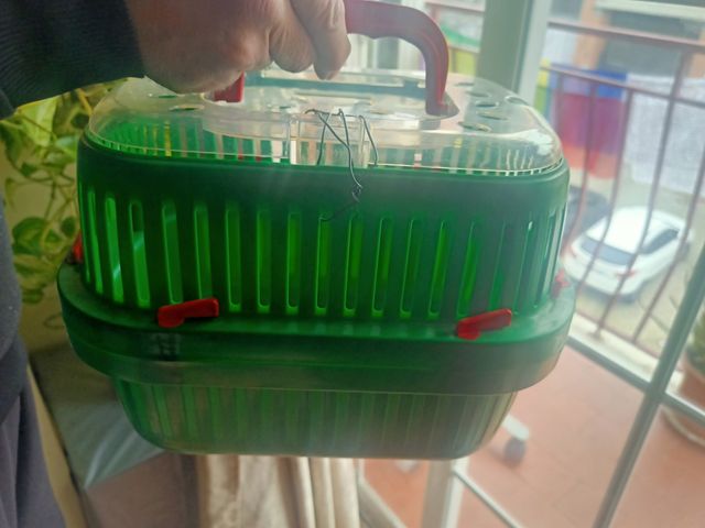 transportín para cobayas y hamster