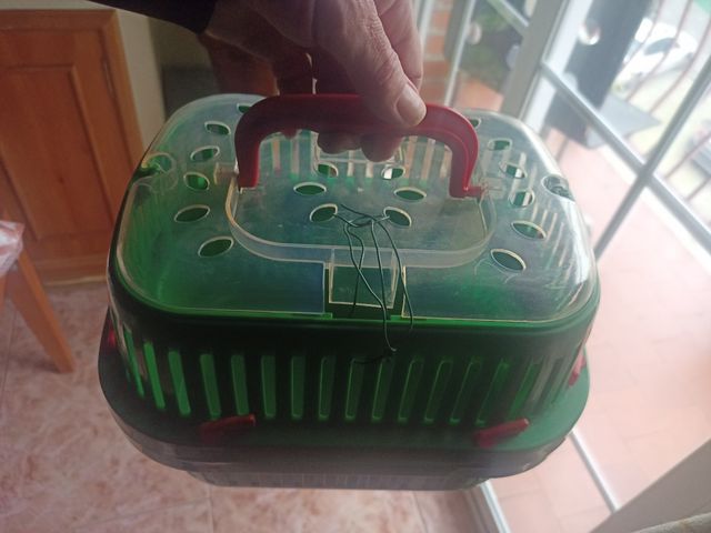 transportín para cobayas y hamster