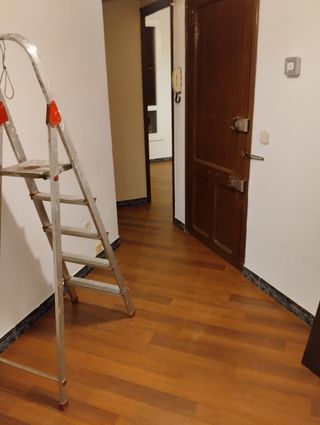 parquet y pintura profesionales 