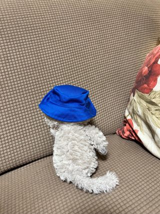 Peluche gato pescador