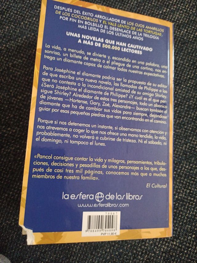 las ardillas de Central Park están tristes los lun