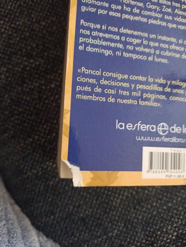 las ardillas de Central Park están tristes los lun