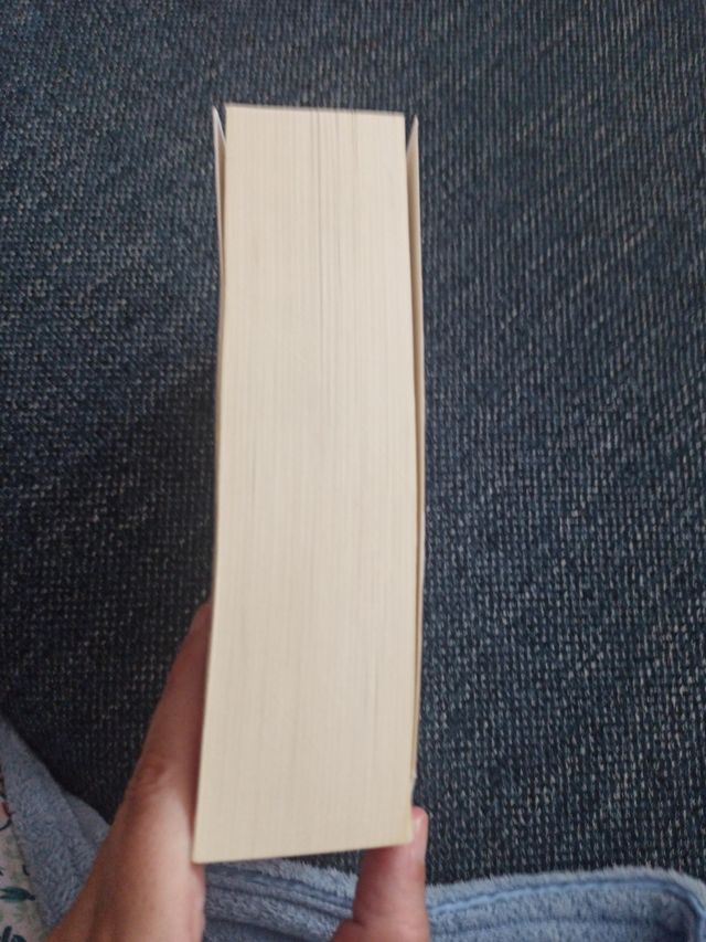 las ardillas de Central Park están tristes los lun