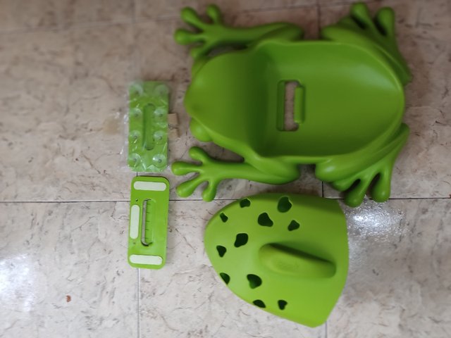 rana juguete de baño