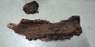 Corcho para terrario o acuario