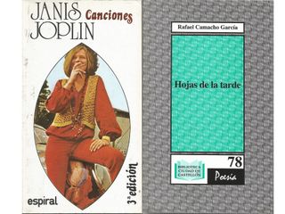 Lote de 20 libros (4)