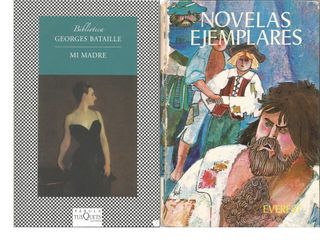 Lote de 20 libros (4)