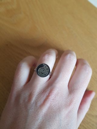 Anillo Ammonite montado en plata 925