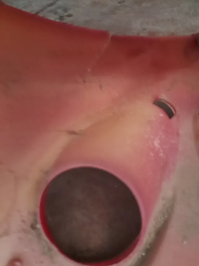 Pico delantero nrg 2001