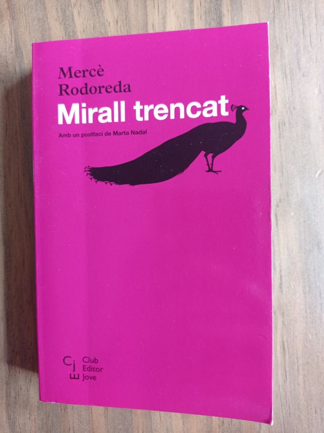 Mirall Trencat