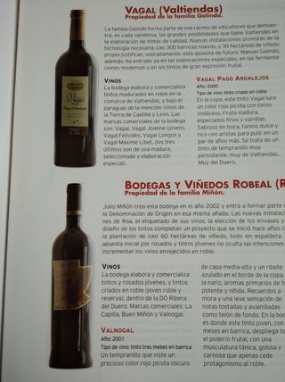 LIBRO VINOS Y BODEGAS CASTILLA Y LEON  sin tapas