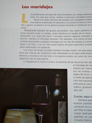 LIBRO VINOS Y BODEGAS CASTILLA Y LEON  sin tapas