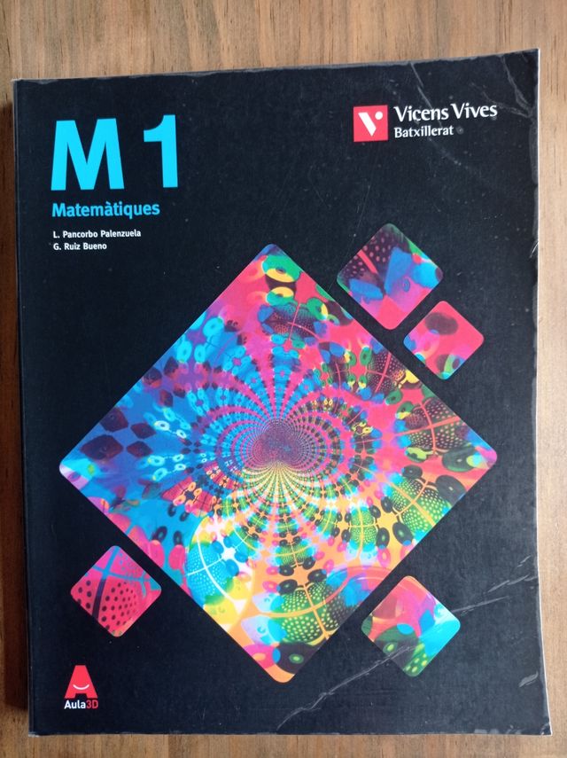 1° diploma di maturità in matematica