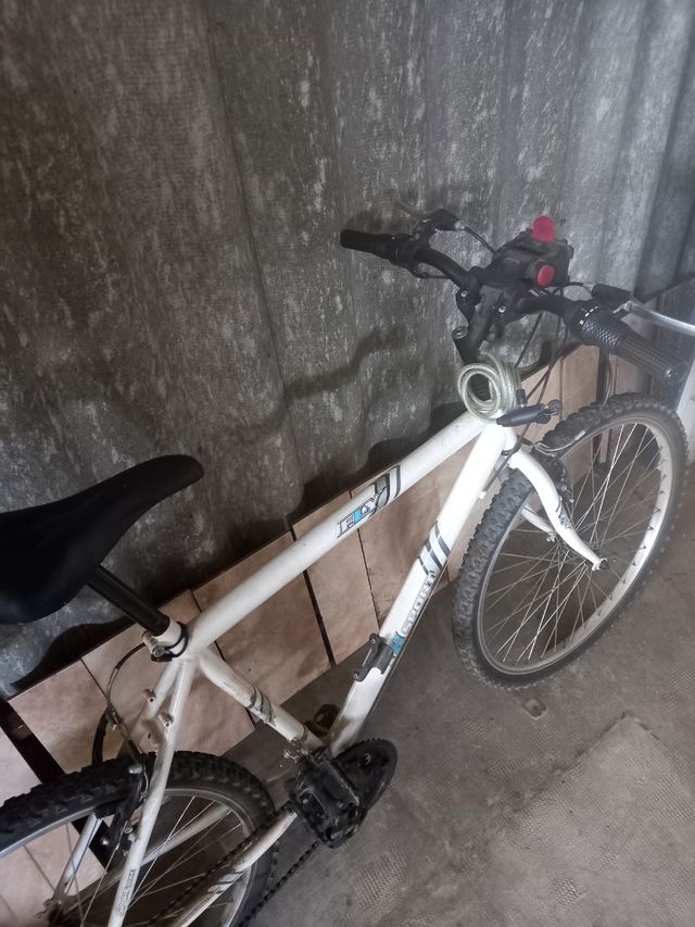 bicicleta montenbike