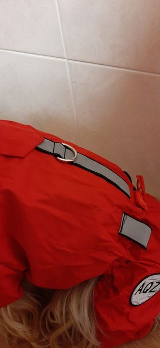 Abrigo impermeable para tu mascota
