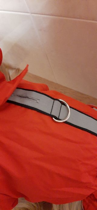 Abrigo impermeable para tu mascota