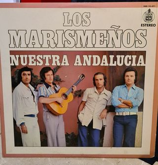 discos de vinilo antiguos