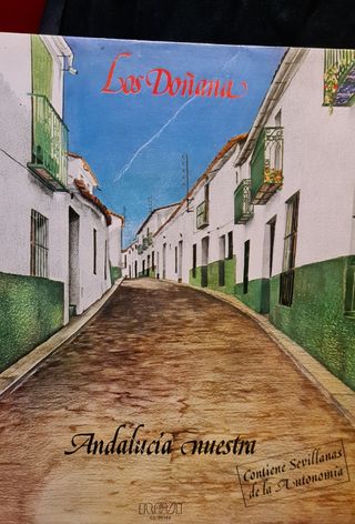 discos de vinilo antiguos