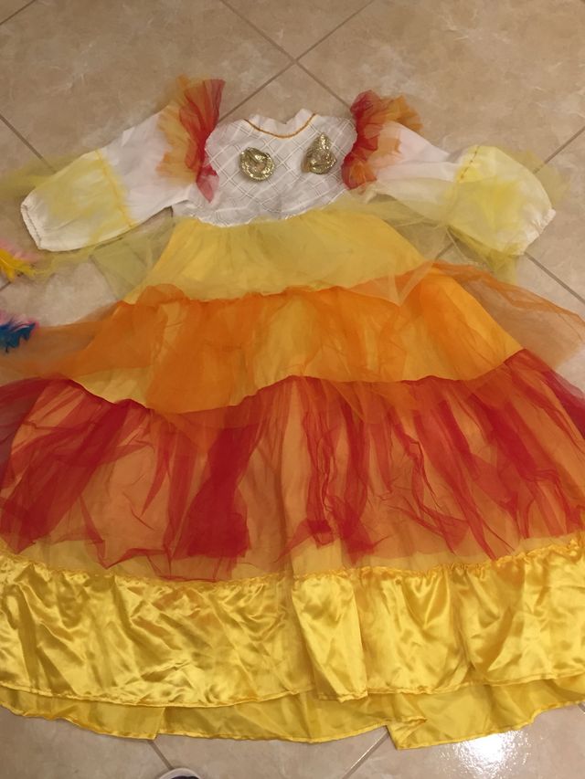 Vestito carnevale