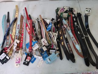 Accesorios para perros