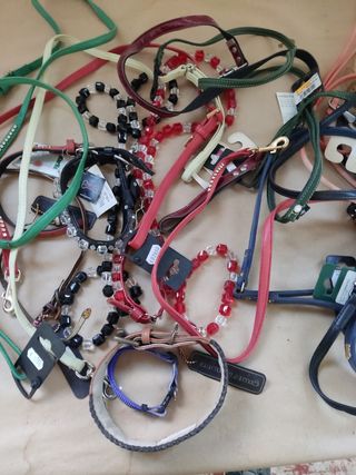 Accesorios para perros