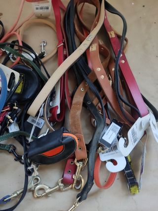 Accesorios para perros