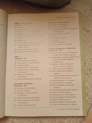 Atlas Anatomía Masson