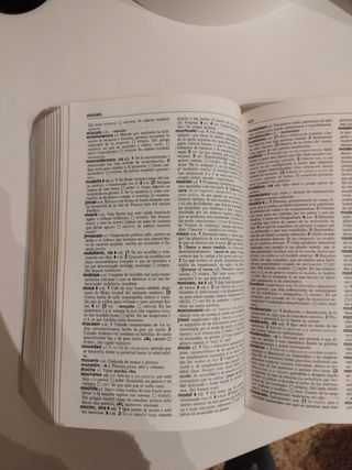 diccionario avanzado lengua española