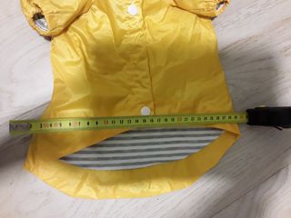 Impermeable para perro pequeño