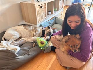 Paseo y Guardería de mascotas   Pozuelo-Aravaca