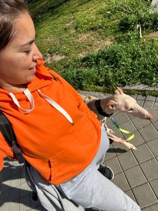 Paseo y Guardería de mascotas   Pozuelo-Aravaca