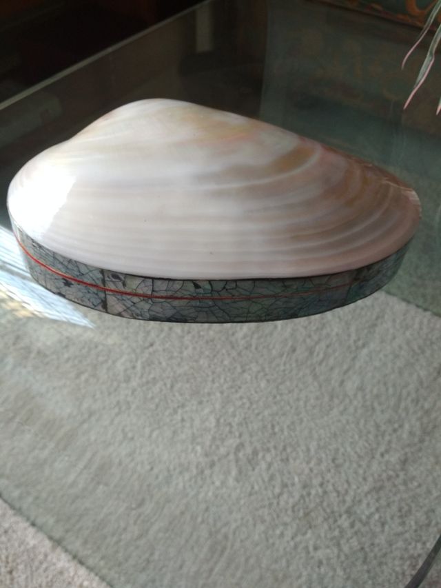 Caja concha nácar gigante  auténtico.