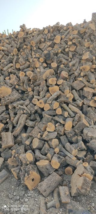 leñas de olivo seca